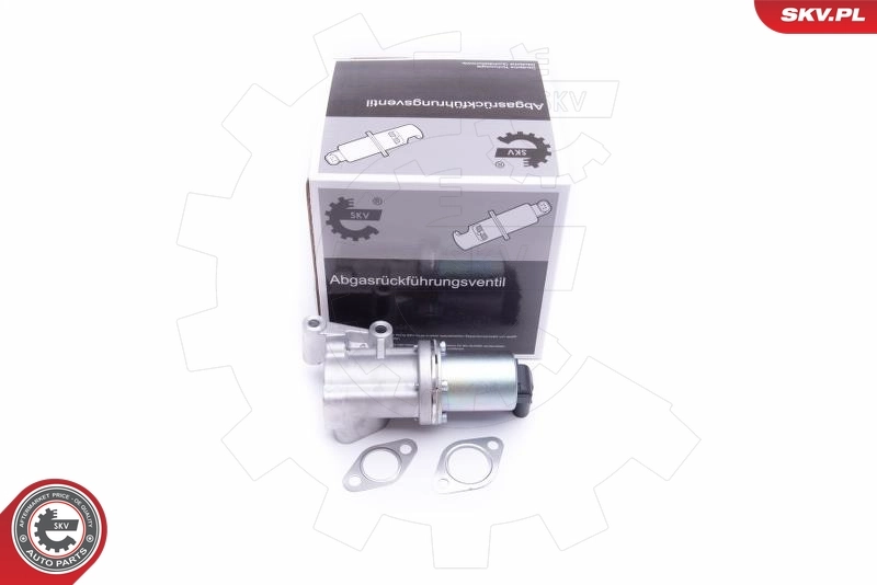 EGR Valve